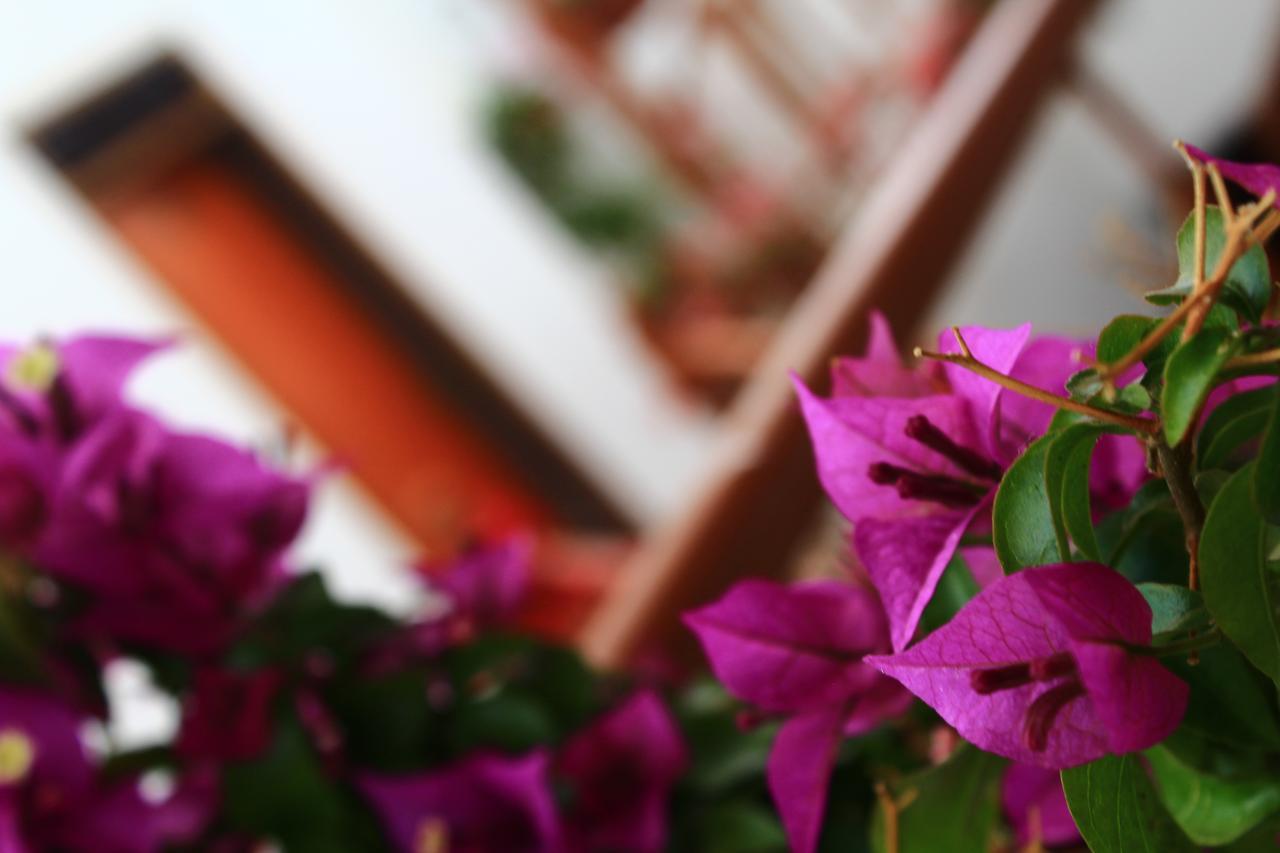 Amaru Hotel Huaraz Zewnętrze zdjęcie