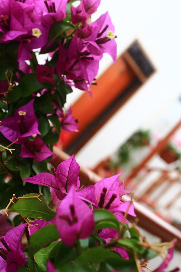 Amaru Hotel Huaraz Zewnętrze zdjęcie